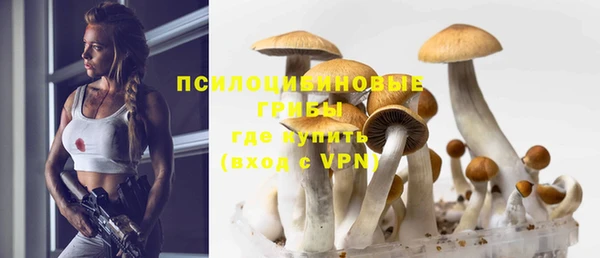 PSILOCYBIN Бородино