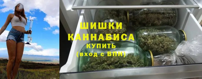 Каннабис индика  Новоульяновск 